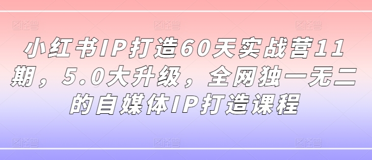 小红书IP打造60天实战营11期，5.0大升级，全网独一无二的自媒体IP打造课程