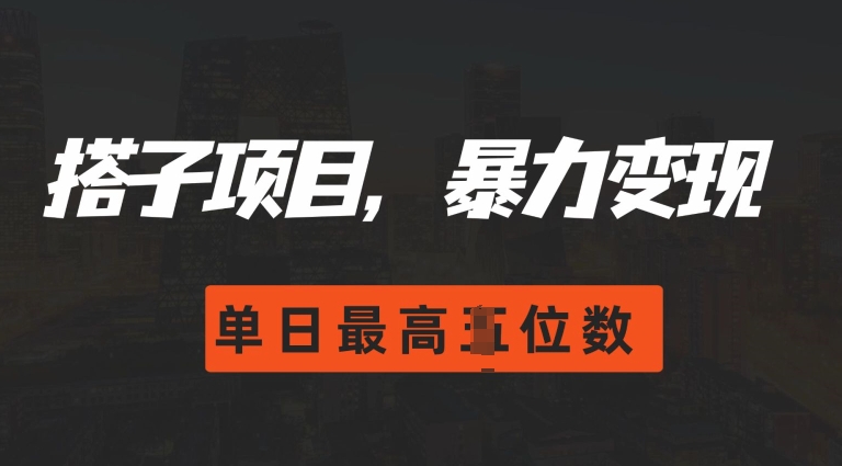 2024搭子玩法，0门槛，暴力变现，单日最高破四位数【揭秘】