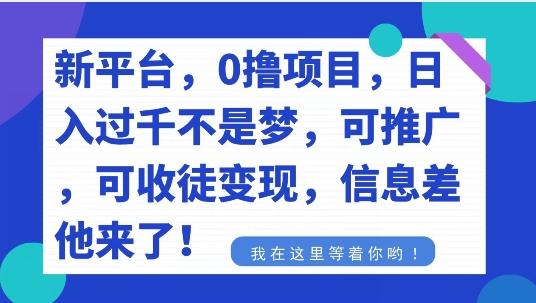 不要再花冤枉钱了，0撸项目，每天坚持，稳定1000+